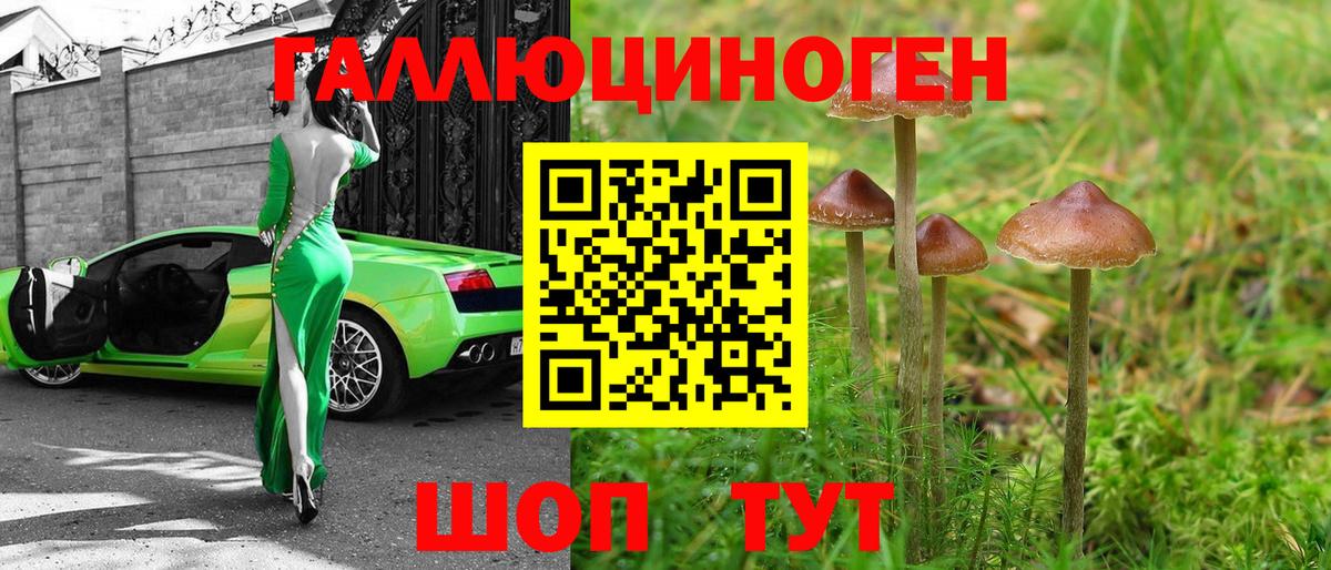 Галлюциногенные грибы мухоморы  Вход с VPN  Знаменск 